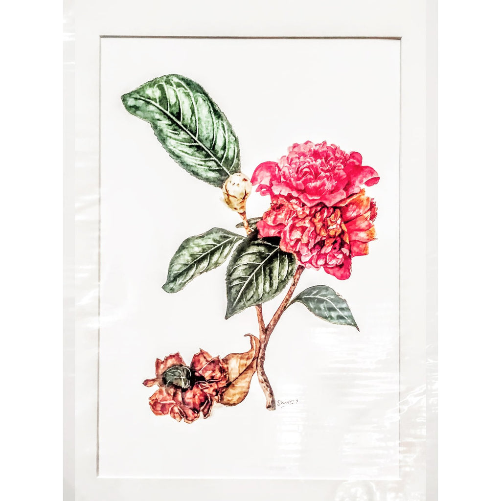 Limited Edition Print - Camellias