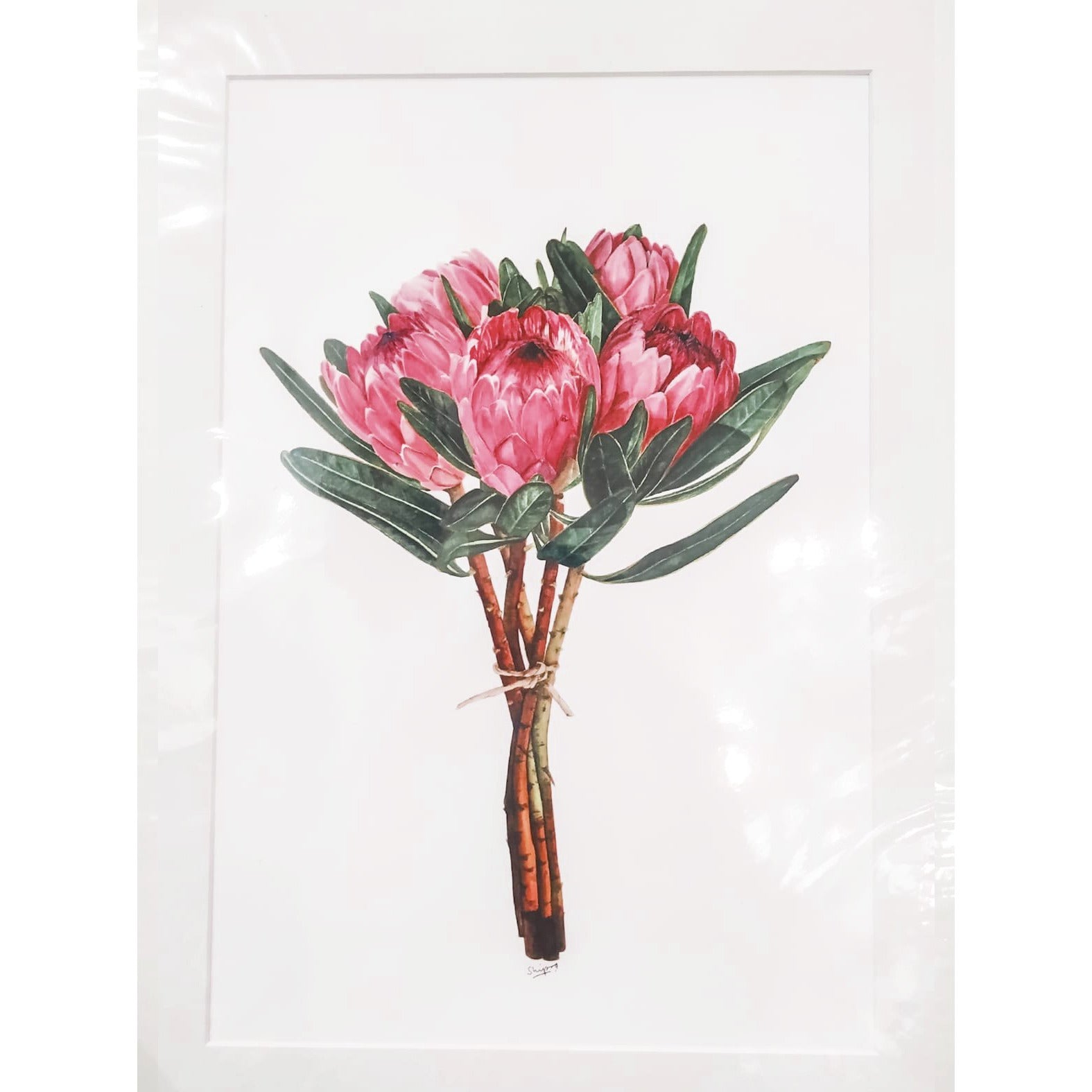 Limited Edition Print - Proteas