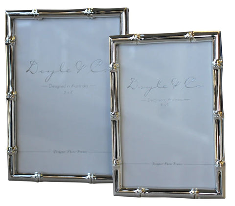 Flair - Bamboo Silver Plated Frames