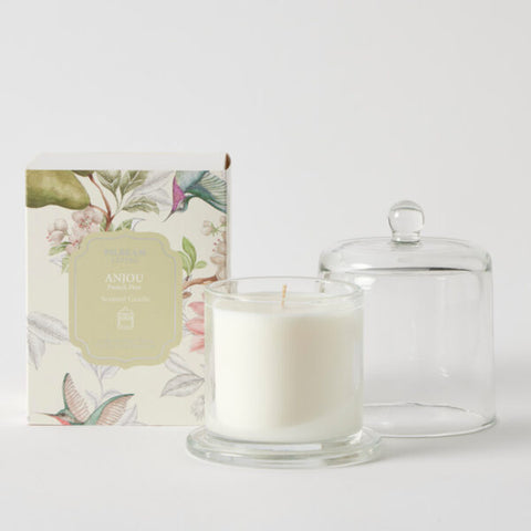 Pilbeam Living - Anjou Glass Cloche Scented Candle - French Pear