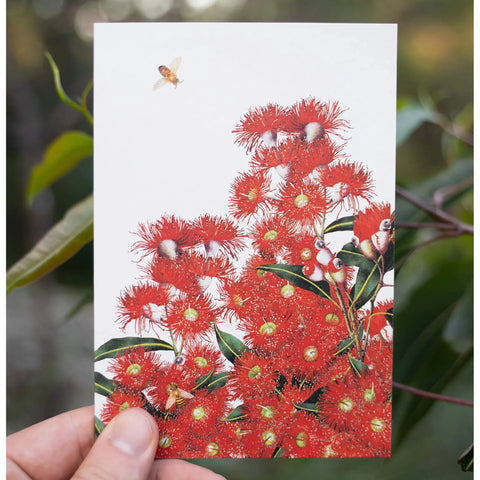 Bell Art - Eucalyptus Greeting Card Red Flowering Gum