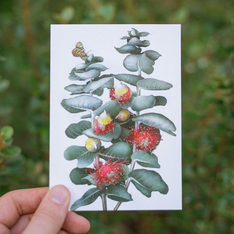 Bell Art - Eucalyptus Greeting Card Rose Mallee