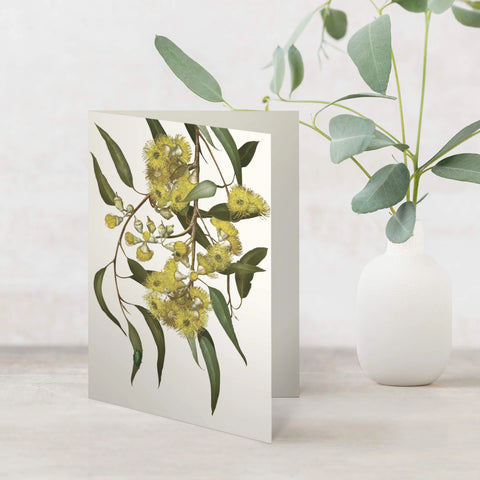 Bell Art - Eucalyptus Greeting Card Lemon Scented Gum