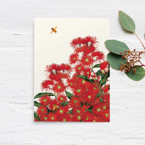 Bell Art - Eucalyptus Greeting Card Red Flowering Gum