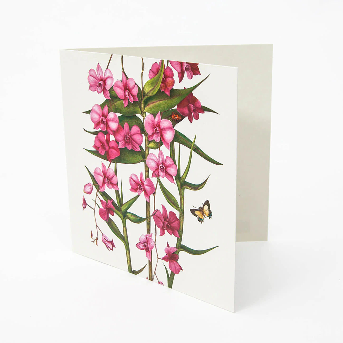 Bell Art - Floral Emblems Art Card Cooktown Orchid QLD