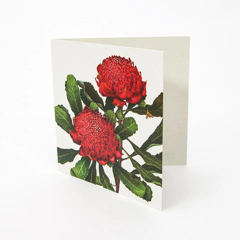 Bell Art - Floral Emblems Art Card Waratah NSW