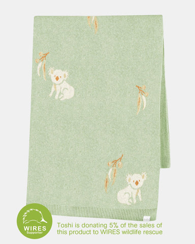 Toshi - Organic Blanket Storytime - Koala