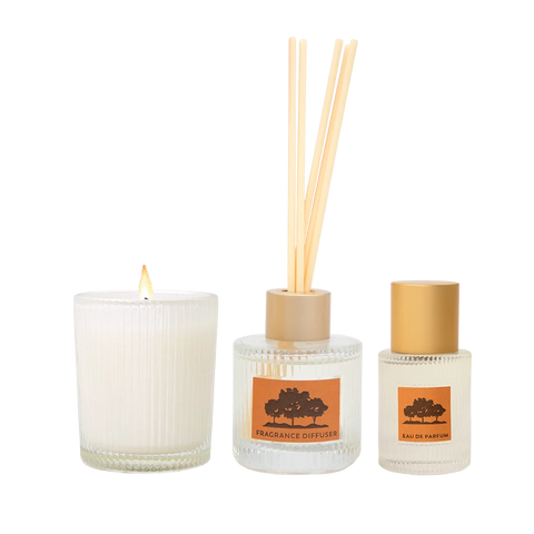 Maine Beach - Little Luxuries Trio Collection - Rangelands Sandalwood