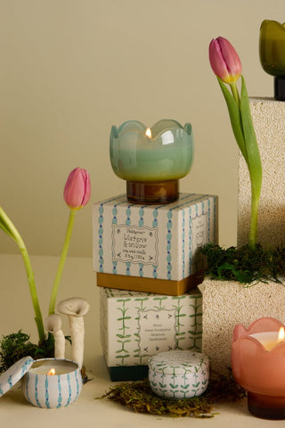 Paddywax - Tulip 2oz Printed Tin - Wisteria & Willow