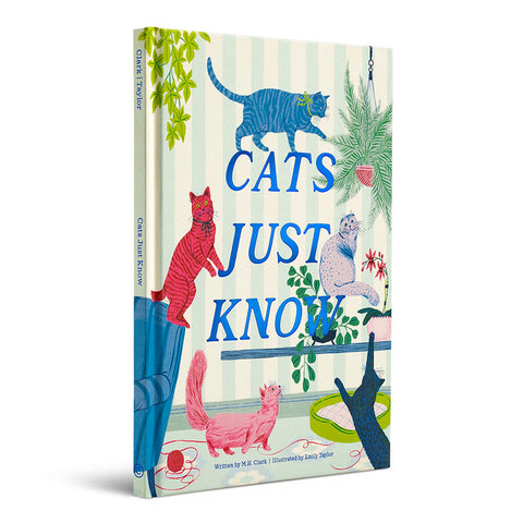 Compendium - Cats Just Know
