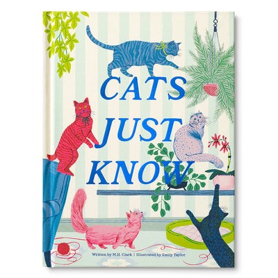 Compendium - Cats Just Know