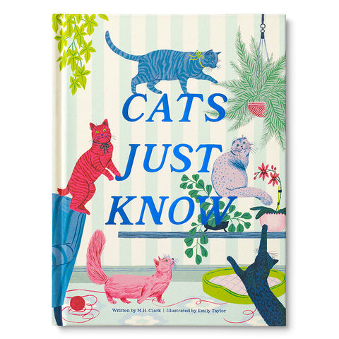 Compendium - Cats Just Know