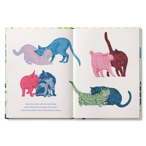 Compendium - Cats Just Know