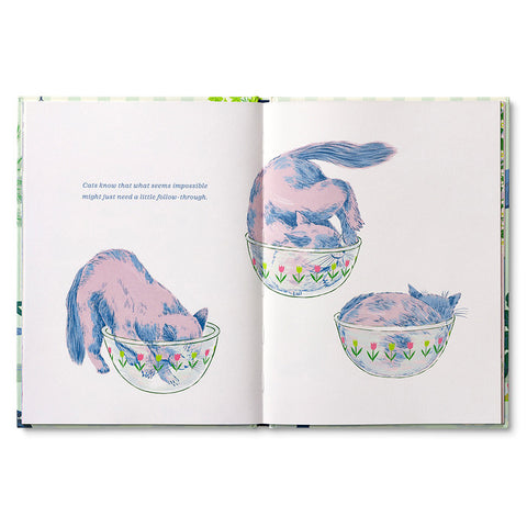 Compendium - Cats Just Know