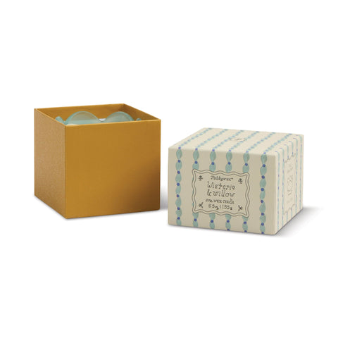 Paddywax - Tulip 5.5oz Glass w/ Printed Box - Wisteria & Willow
