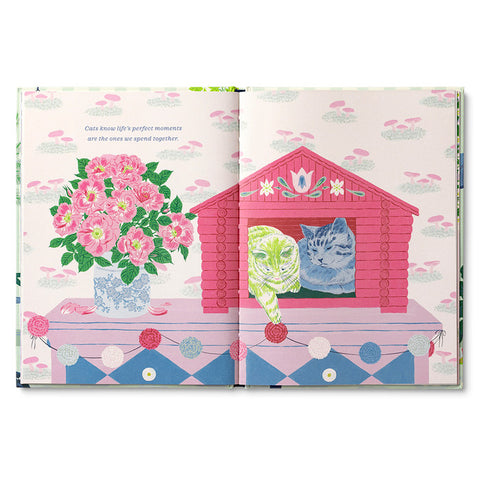 Compendium - Cats Just Know
