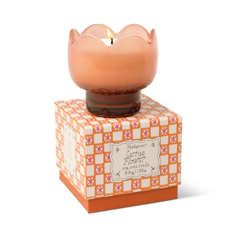 Paddywax - Tulip 5.5oz Glass w/ Printed Box - Cactus Flower