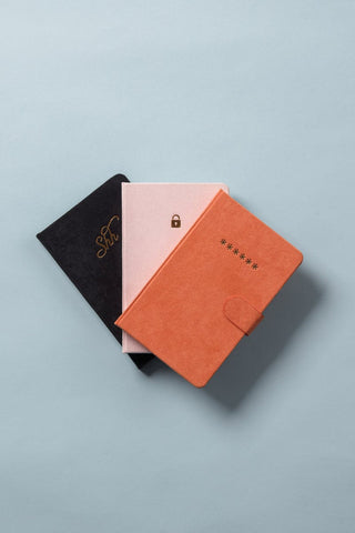 Designworks Inc - Mini Password Journal - Lock