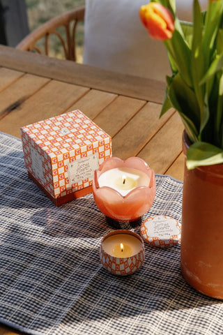 Paddywax - Tulip 5.5oz Glass w/ Printed Box - Cactus Flower