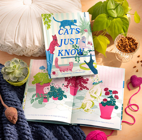 Compendium - Cats Just Know