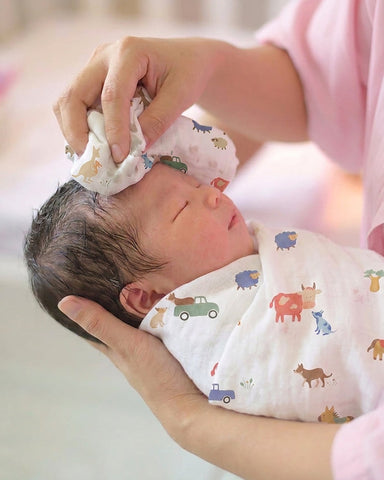 Toshi - Wrap Muslin Arcadia - Gumnut Babies