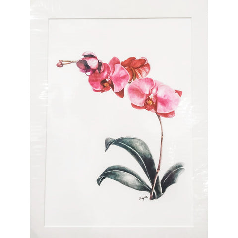 Limited Edition Print - Pink Orchids