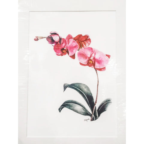 Limited Edition Print - Pink Orchids