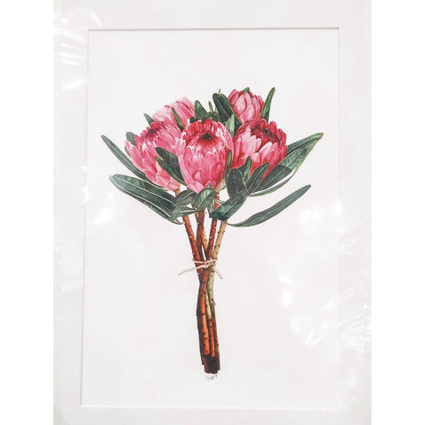 Limited Edition Print - Proteas