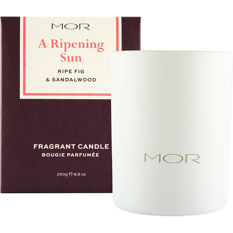 MOR - Scented Home Library A Ripening Sun Ripe Fig & Sandalwood Fragrant Candle