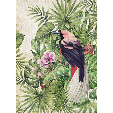 Rayell - Floral Canvas Collection