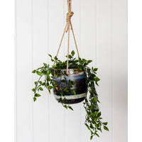 Xanto - Hanging Planter